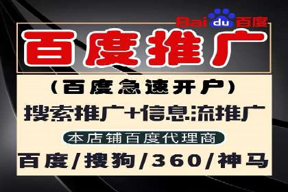 百度竞价与搜索引擎优化（SEO）结合的经典案例
